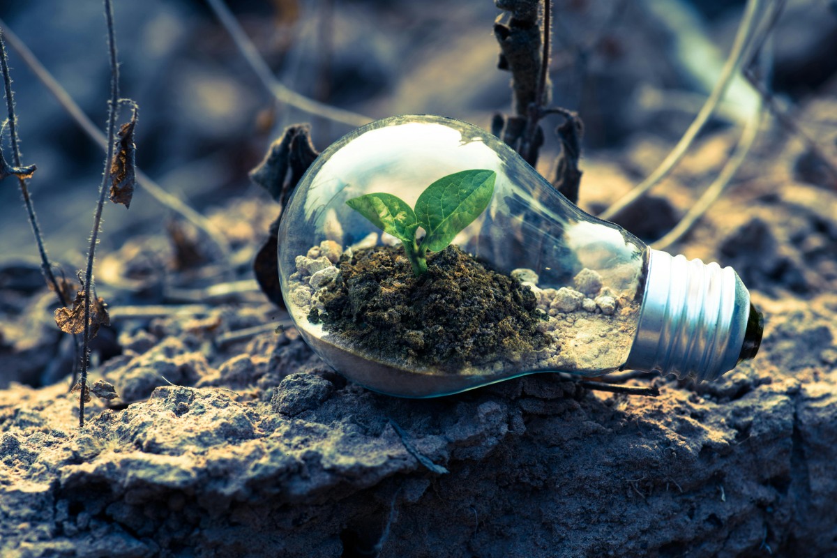 Greenwashing vs. Green Marketing: How to Maintain Authenticity Online